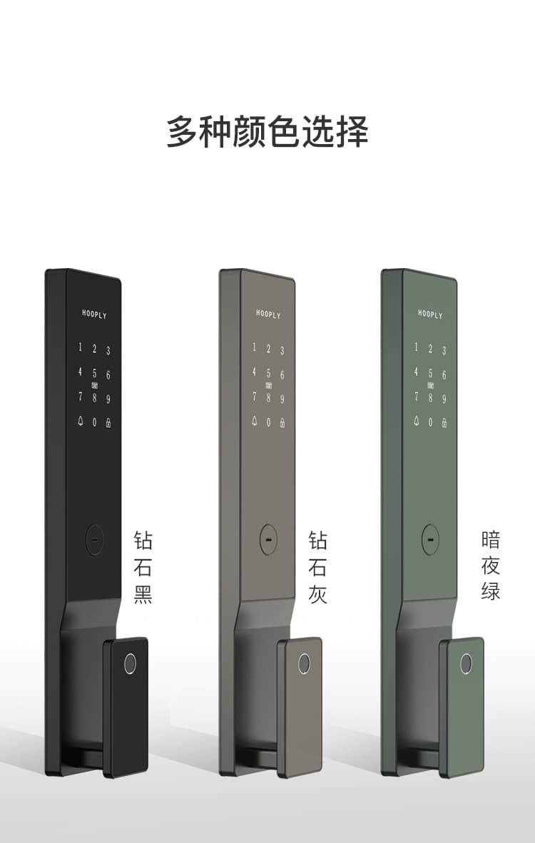 鴻利智能鎖 A31家用防盜門密碼智能門鎖