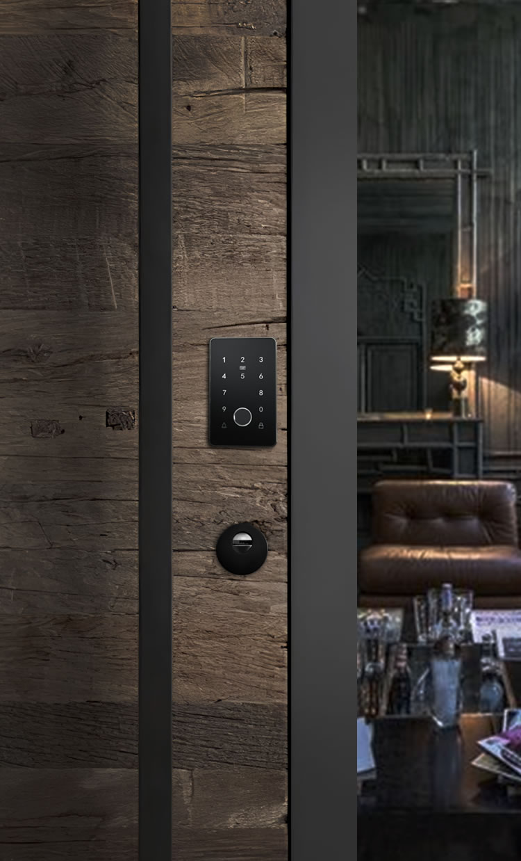 鴻利智能鎖 A36家用防盜門智能鎖