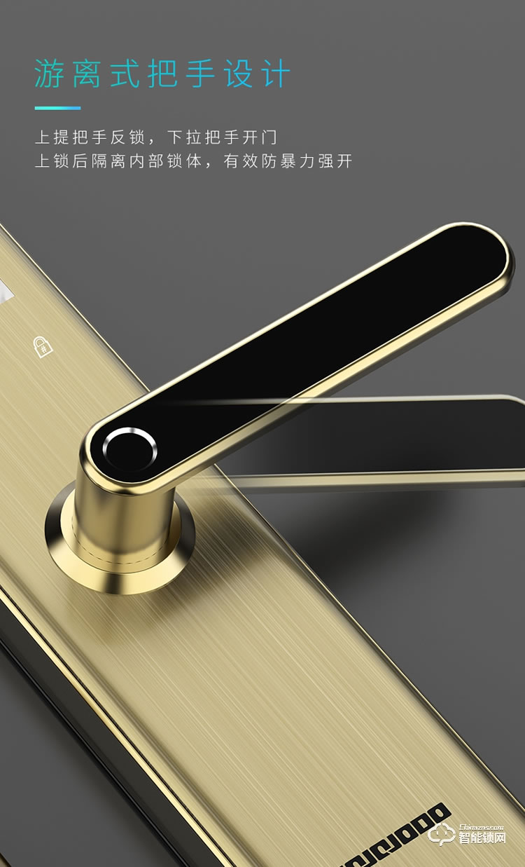 皇家金盾智能鎖 R50(凱旋一號(hào))人臉識(shí)別家用智能門電子鎖