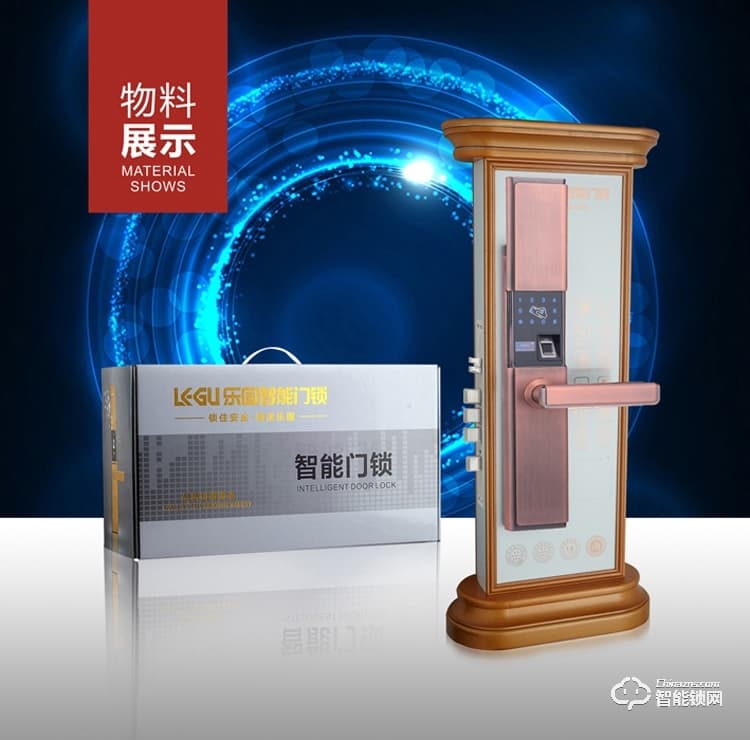 樂固智能鎖 LG-338家用入戶大門密碼磁卡門鎖