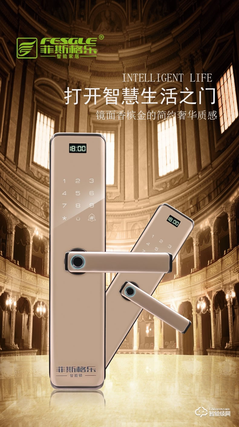 菲斯格樂(lè)智能鎖 6853家用防盜門智能門鎖密碼鎖