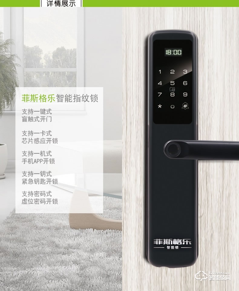 菲斯格樂智能鎖 6851家用防盜門智能門鎖