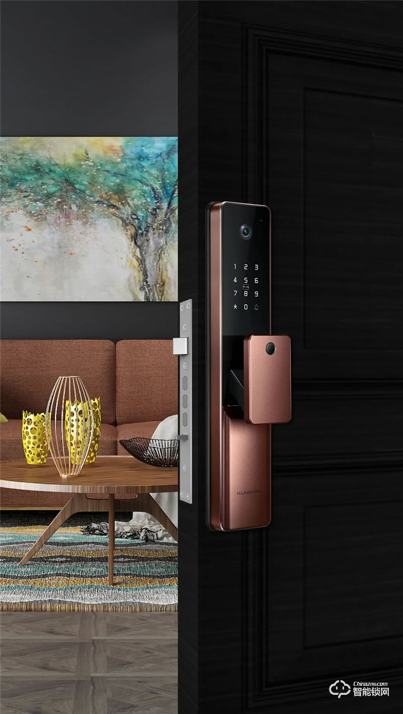 琨山通用智能鎖 W80家用防盜門視頻智能鎖電子鎖