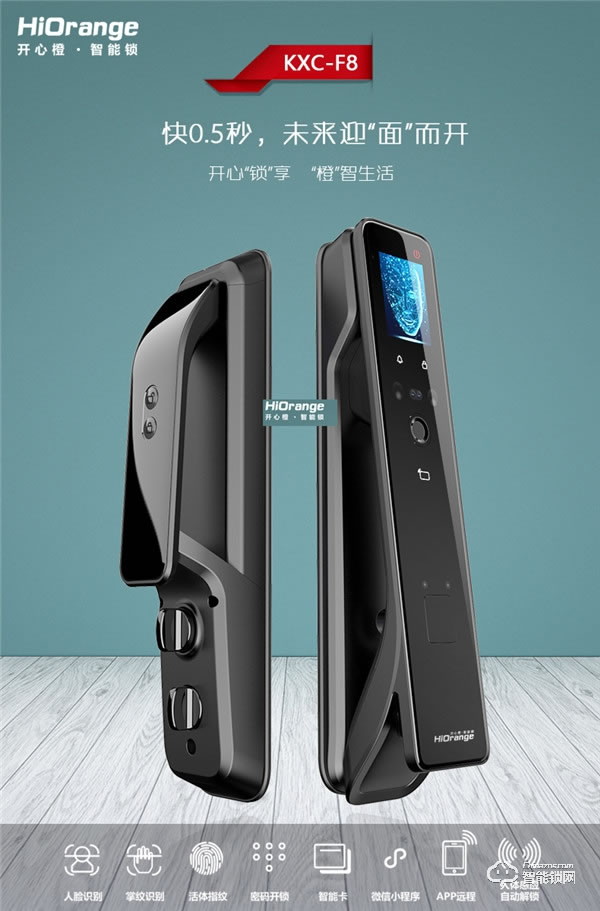 凌振智能鎖 家用全自動(dòng)人臉識(shí)別智能鎖