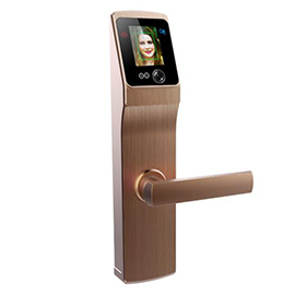 道思智能鎖 智能鎖（紅古銅）智能觸摸開機、持久耐用