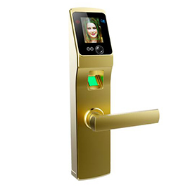 道思智能鎖 智能指紋鎖（金）智能觸摸開機、高亮度紅外燈