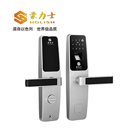 豪力士指紋鎖智能鎖 D3633F木門(mén)鐵門(mén)密碼鎖防盜門(mén)鎖 手機(jī)AAP感應(yīng)電子鎖