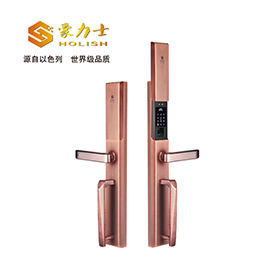 豪力士指紋鎖 L8866F手機(jī)感應(yīng)智能鎖家用防盜大門(mén)密碼鎖刷卡智能電子鎖