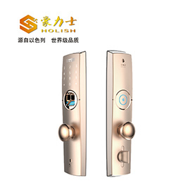 豪力士指紋鎖 D0755F家用防盜門(mén)智能鎖手機(jī)app感應(yīng)電子鎖遙控刷卡密碼鎖