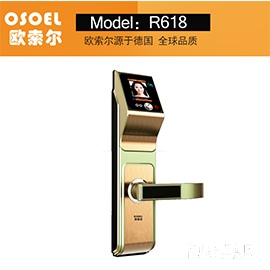 歐索爾智能鎖人臉識別鎖 家用防盜密碼鎖