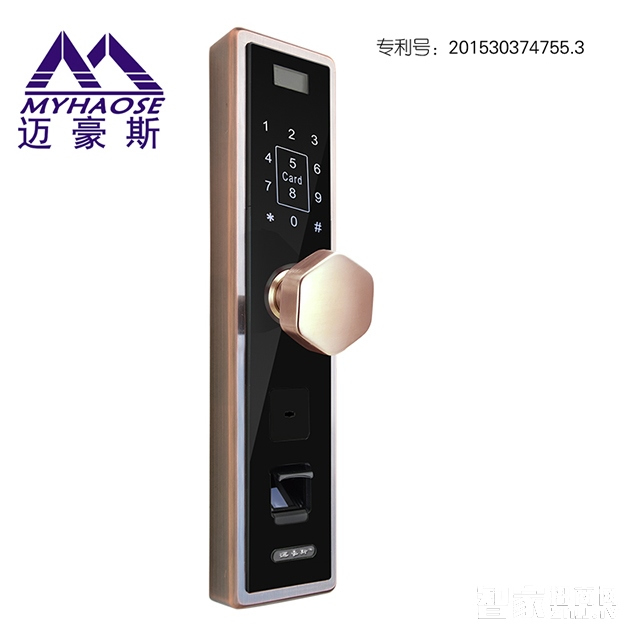 靈寶家用智能指紋鎖 電子感應刷卡鎖