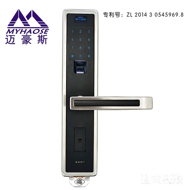 靈寶別墅指紋密碼鎖 入戶門電子磁卡鎖