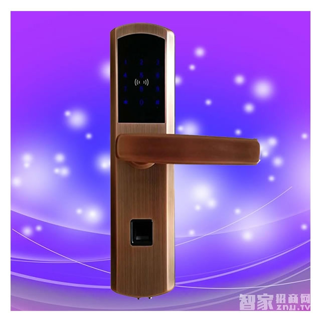 彬睿指紋鎖6610 不銹鋼智能密碼鎖