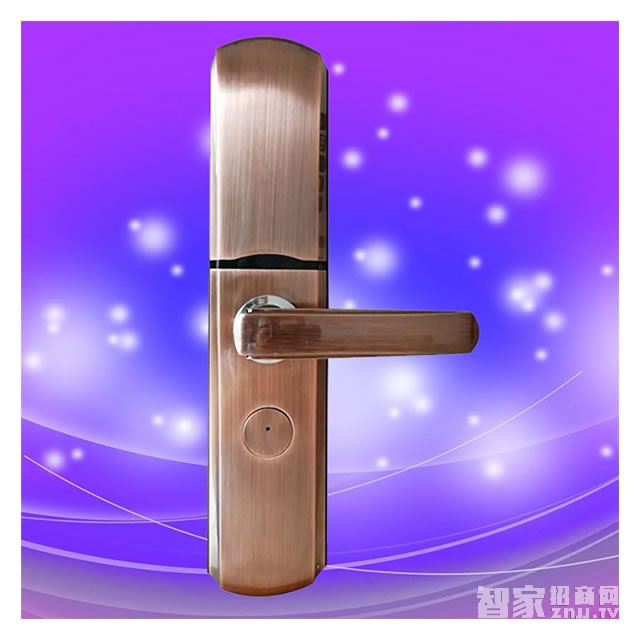 彬睿智能鎖 家用防盜指紋密碼鎖 大門電子感應(yīng)鎖