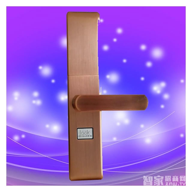 彬睿滑蓋智能鎖 電子感應(yīng)密碼鎖