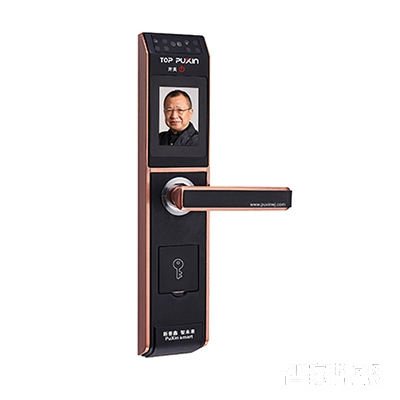 普鑫智能人臉識(shí)別鎖 家用門(mén)鎖刷卡鎖 磁卡鎖
