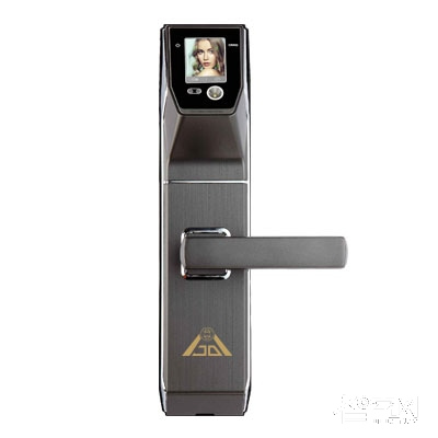 金安盾人臉識別鎖 家用電子密碼鎖 刷卡鎖