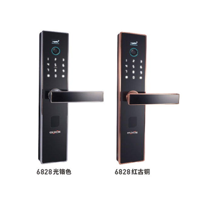 科羅尼指紋密碼鎖 家用防盜門鎖