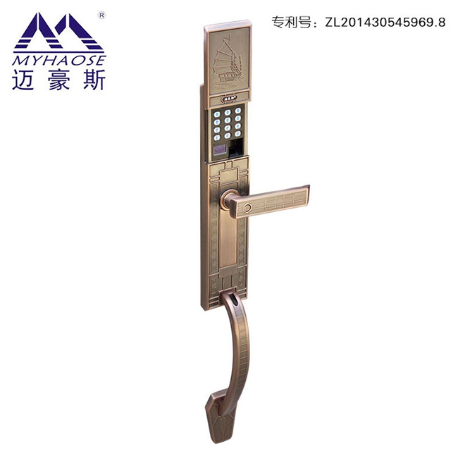 創(chuàng)恒安科智能鎖 觸摸按鍵智能指紋密碼鎖 別墅防盜門鎖