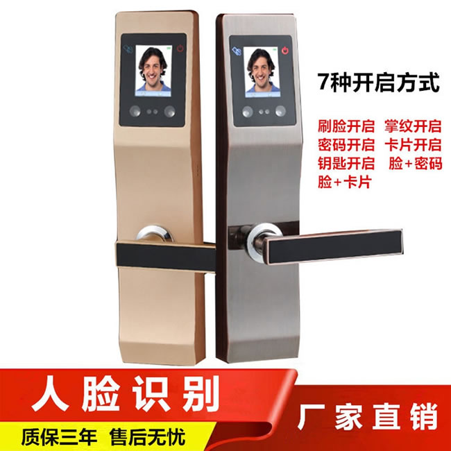 云領人臉識別智能鎖 公寓防盜門智能鎖