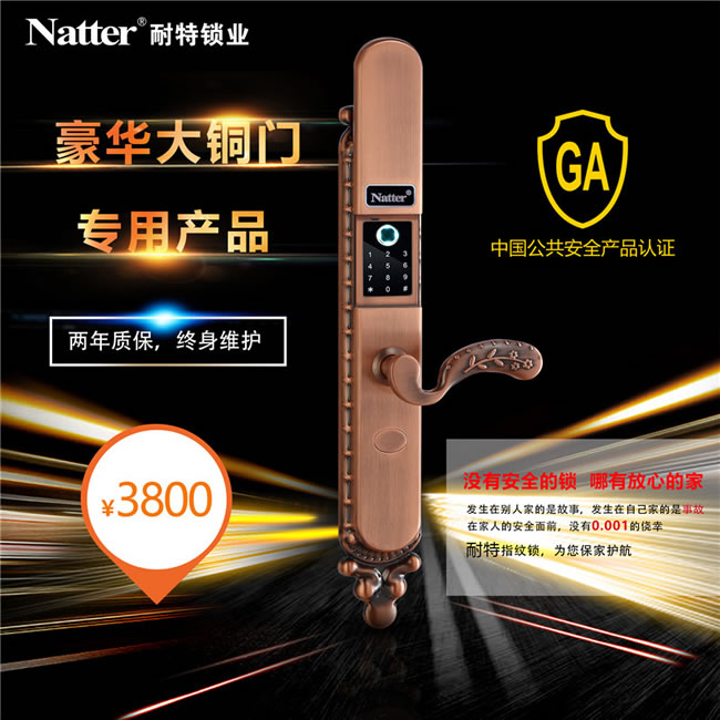 耐特豪華大銅門指紋鎖 安全防盜N5