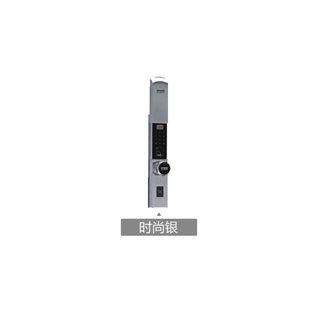 碩貝德遠(yuǎn)程控制智能門鎖 9038智能門鎖