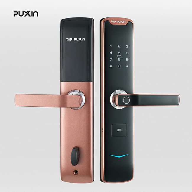 普鑫智能指紋密碼鎖 家用防盜門(mén)鎖 大門(mén)磁卡感應(yīng)電子鎖