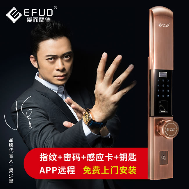 愛而福德指紋鎖 8038家用防盜門鎖智能電子鎖