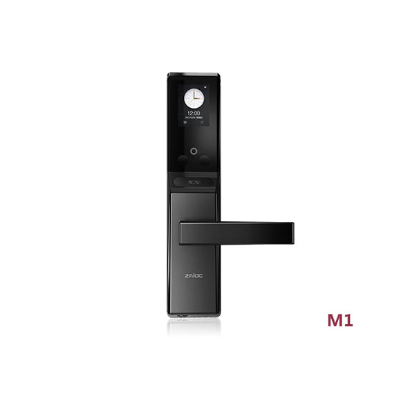 中安樂客智能鎖 人臉識別智能鎖 家用防盜門智能鎖