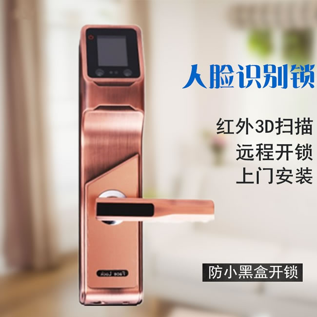 浩宇興智能鎖 人臉鎖掌靜脈密碼鎖手機(jī)遠(yuǎn)程開鎖