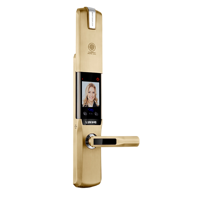 璐興智能鎖 L3008滑蓋人臉識別指紋密碼鎖