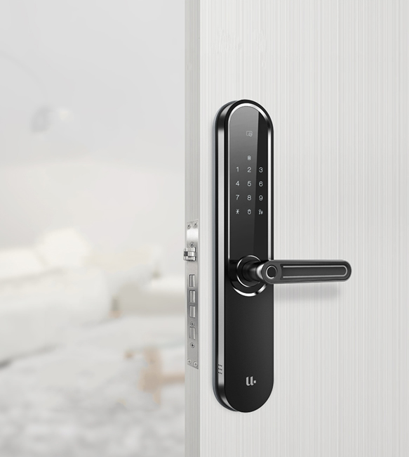 優(yōu)點(diǎn)智能鎖 C2電子門鎖防盜門智能鎖