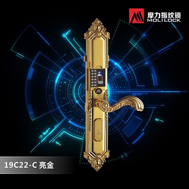 摩力指紋鎖 19C22-C歐式風(fēng)格智能指紋鎖