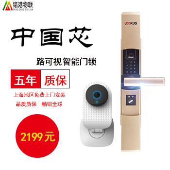 銘港物聯智能鎖 經濟版智能指紋密碼門鎖套餐