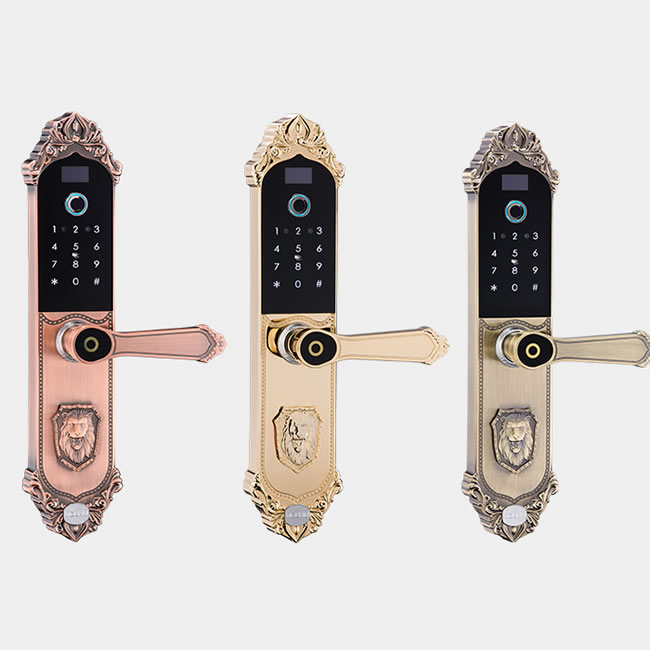 威士迪智能鎖 H610指紋密碼刷卡鎖