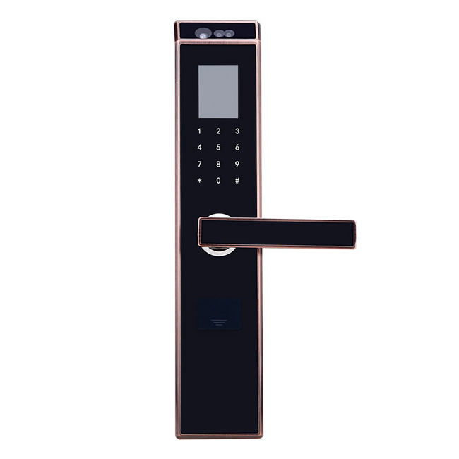 威士迪智能鎖 人臉識別鎖電子智能鎖