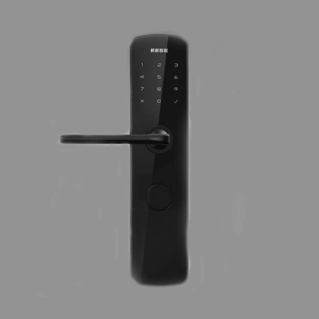 櫸樹智能鎖 Z-5家用防盜門智能電子鎖