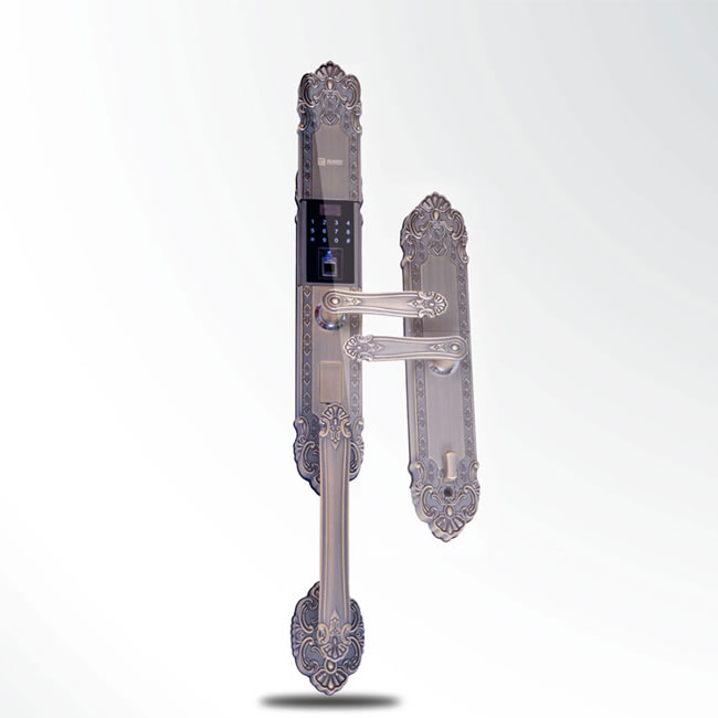 騰創(chuàng)智能鎖 鋅合金別墅門指紋密碼鎖