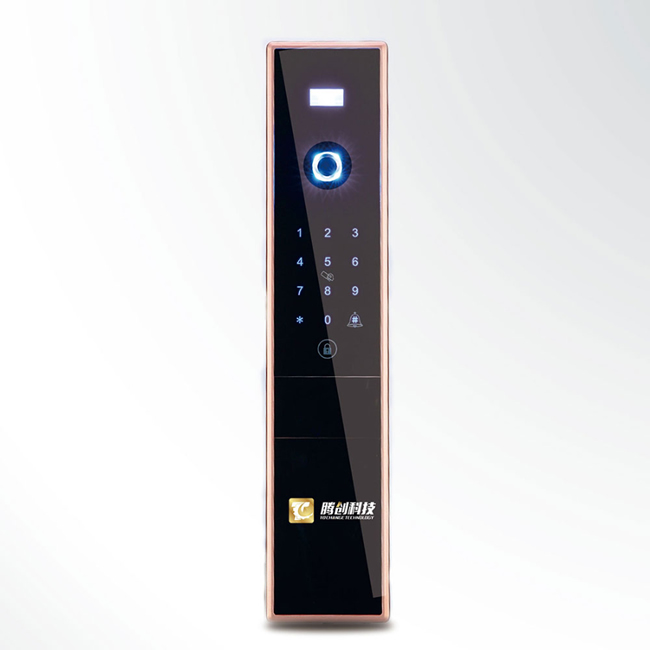 騰創(chuàng)智能鎖 鋁合金直板指紋密碼鎖