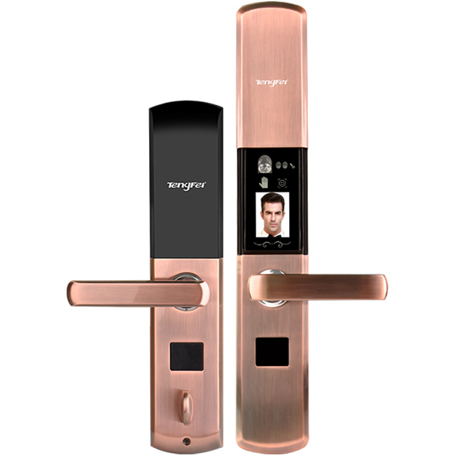 騰飛指紋鎖 智能人臉識別家用防盜門密碼鎖