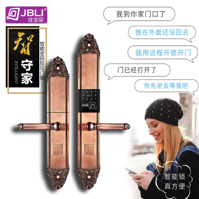 佳寶麗智能鎖 歐式別墅門(mén)鎖大門(mén)電子鎖