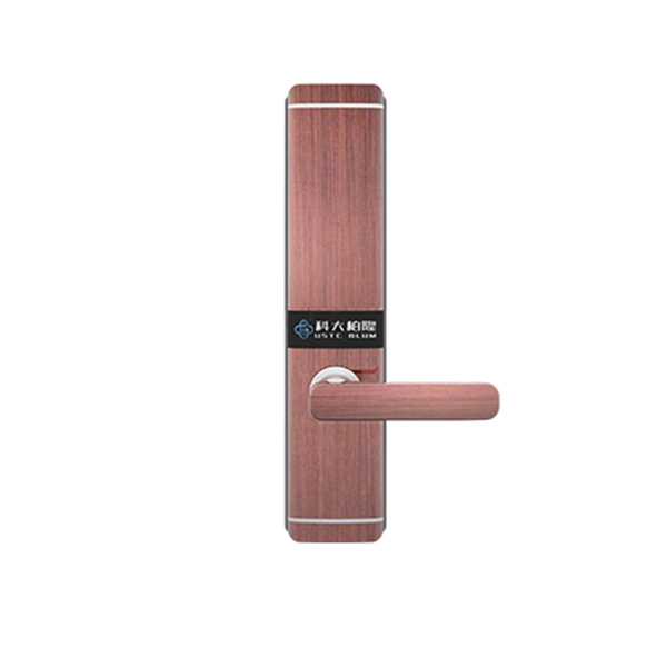 科大柏隆智能鎖 云智Y01S家用防盜門鎖智能鎖指紋密碼鎖