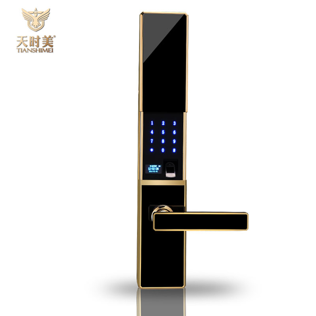 天時美智能鎖 T5家用防盜門鎖指紋鎖