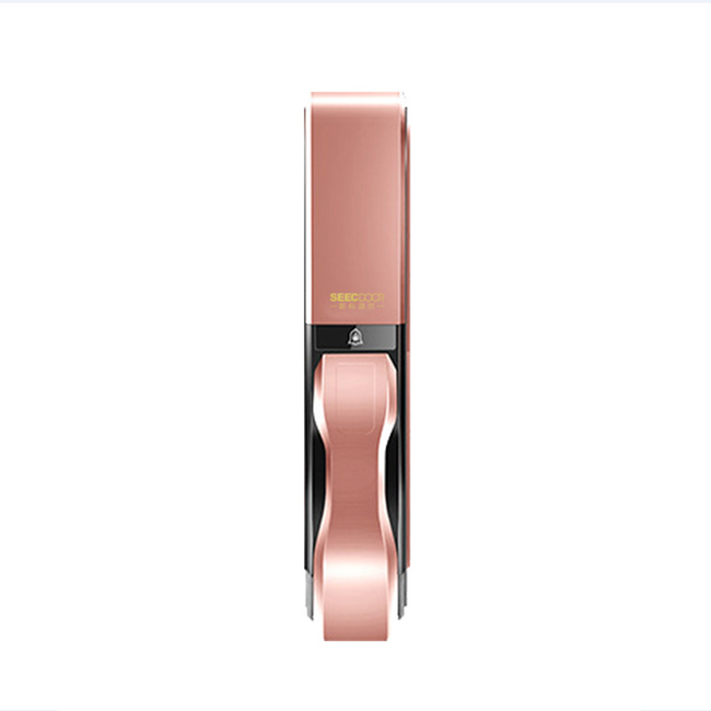 視控達(dá)智能鎖 SKD-LK-ZW2801全自動滑蓋指紋鎖