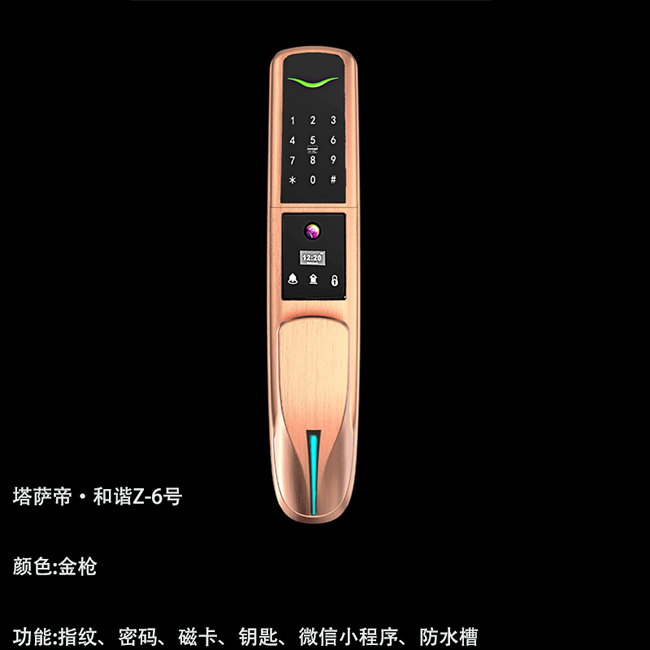 塔薩帝智能鎖 和諧Z-6號全自動(dòng)推拉式智能鎖