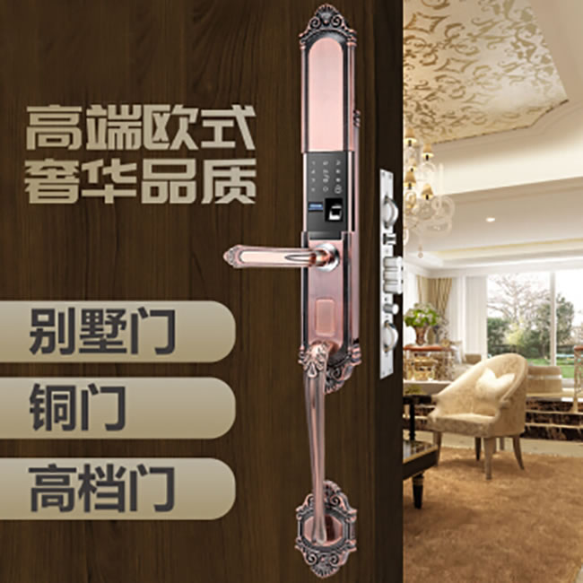 薩萊明智能鎖 V8別墅鋅合金智能門鎖