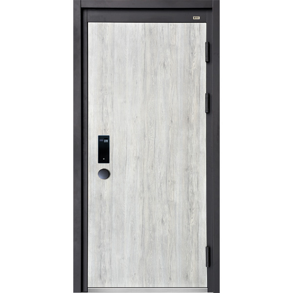 德盾智能門(mén) 甲級(jí)防盜門(mén)進(jìn)戶(hù)門(mén)子母門(mén)