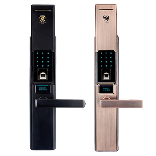 鐵獅東尼智能鎖 TS-900全自動(dòng)滑蓋智能密碼鎖