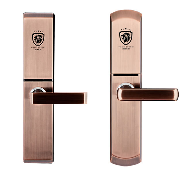 鐵獅東尼智能鎖 TS-600滑蓋家用防盜門(mén)大門(mén)鎖