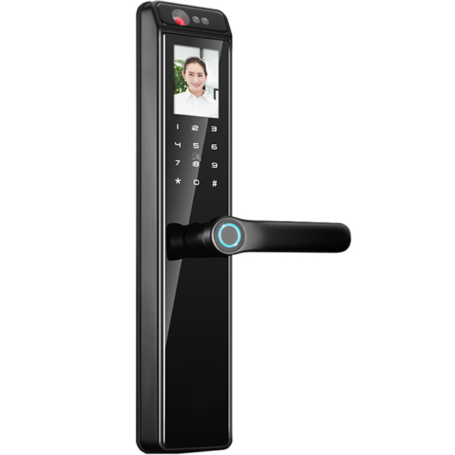 黑帆智能鎖 BS-R1人臉識(shí)別鎖電子密碼鎖